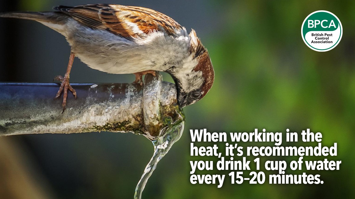 redweatherwarningpestcontrolheat2 redweatherwarningpestcontrolheat2
